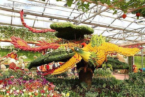 �Ϲ�����