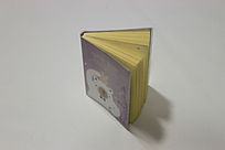 ���ŷŵıʼǱ�