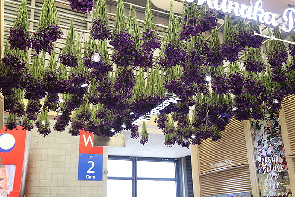 �й����ݲ�����