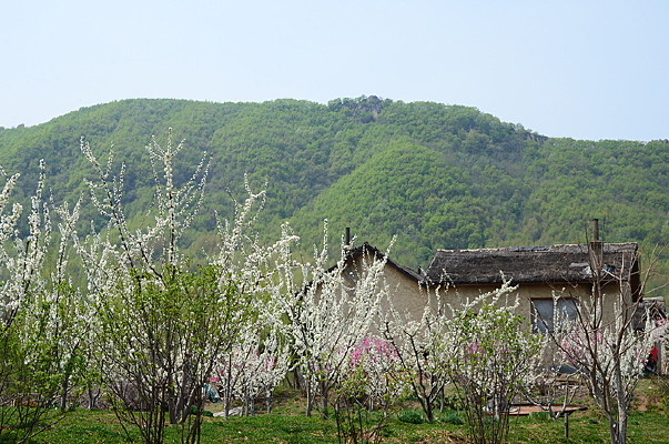 �ٻ������һ�