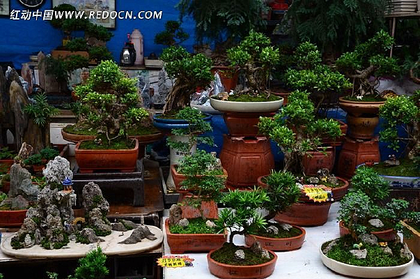 ���Գ�����