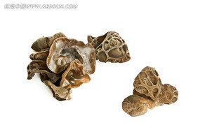 ����ľ��