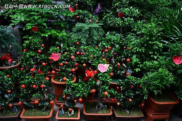 �ÿ������Ի���