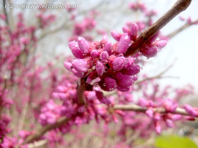 �Ͼ�����