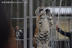 ��������ϻ�