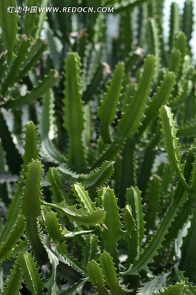 ½������