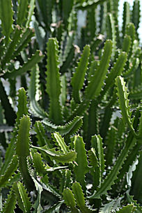 ½������