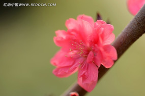 �����һ�