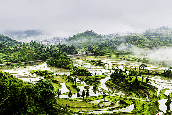 �������