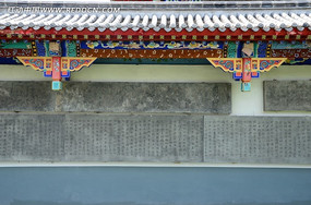 ���ܻ���