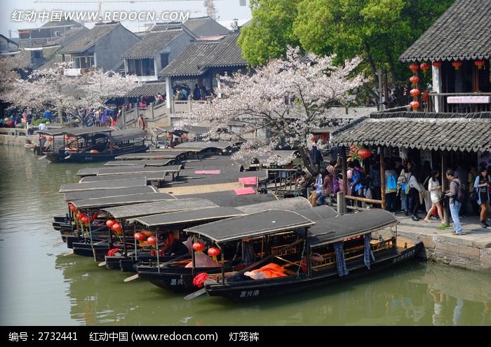 �����ɿ�ͼƬ