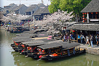 �����ɿ�