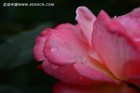 ˮ���¼���