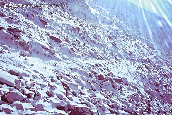 �����±���