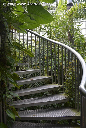 ����̨��