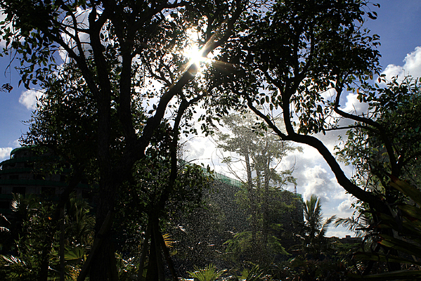 �����������