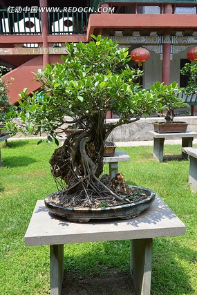 �ļ���ֲ��