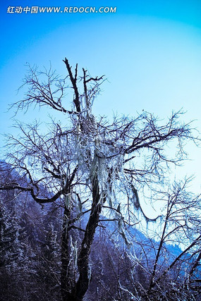 ѩ��һ����