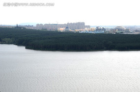 �¹�����