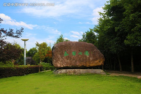 ������԰