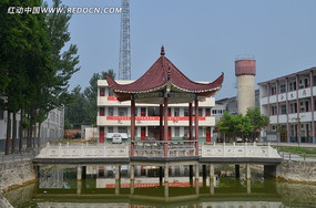 ����ͤ��