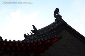 ���¹���