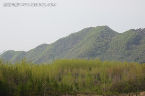 ��ɽ�µ�����