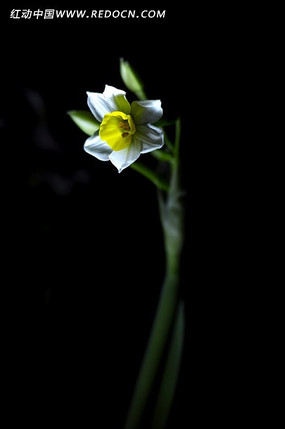 �ڰ��е�ˮ��