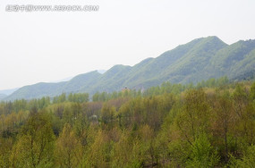 ���಻�ϵ���ɽ