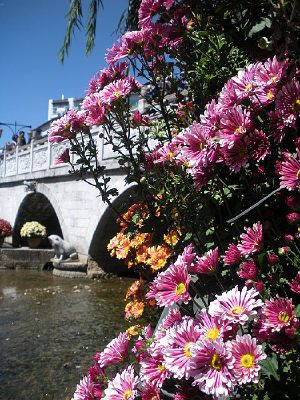 ����Ϫ��ʯ��