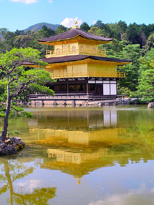 �����Ų�����