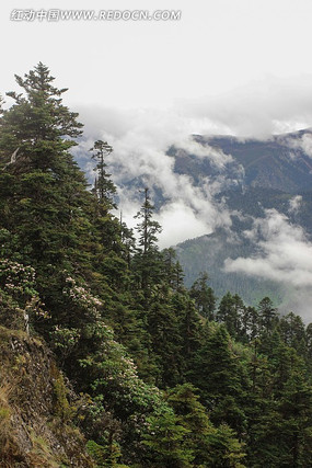 ��ɽ����