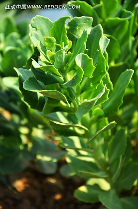 ���޾վջ�����