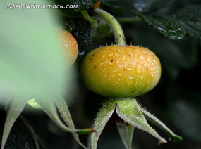 �¼�������