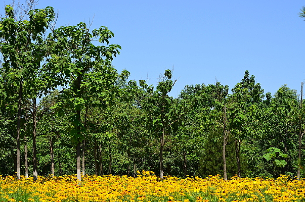 ����µĻ���