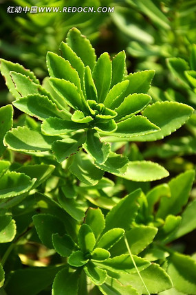 �������پ�