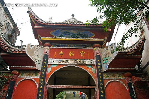 �����ڱ�����