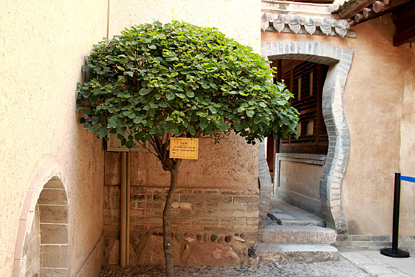 �׶�����