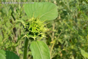 ���������տ�