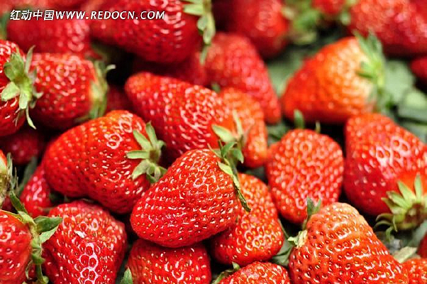 ��ݮʿ��ơ��