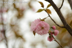 �ձ�����