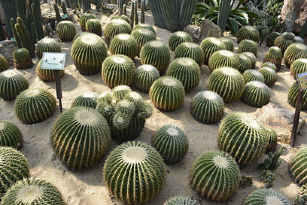 Ư����������