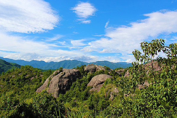 ɽ������