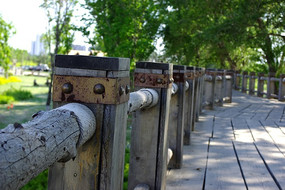 ���������ȵ�