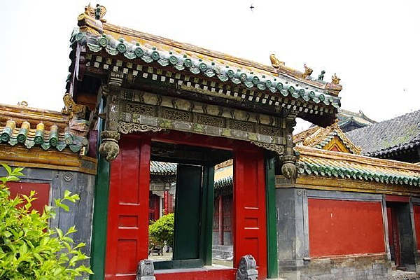 �ʹ��������