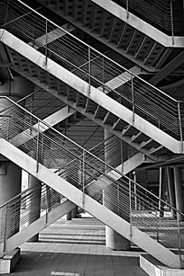 ������¥��