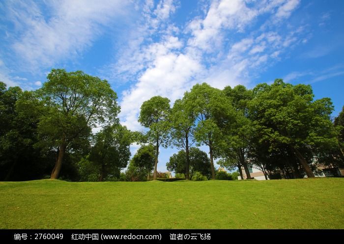 藍天綠樹草地