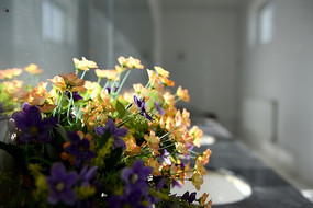 �������ڻ���