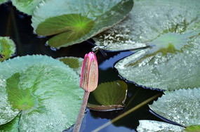 �ɼ��ϵ�����