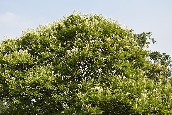 ���������ӻ�